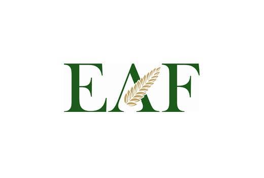 https://www.forktruckdirect.ltd.uk/wp-content/uploads/2026/06/EAF-Group.jpg